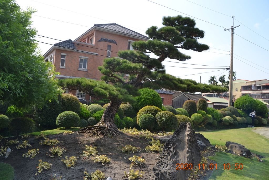 DSC_0171.JPG DSC_0171.JPG