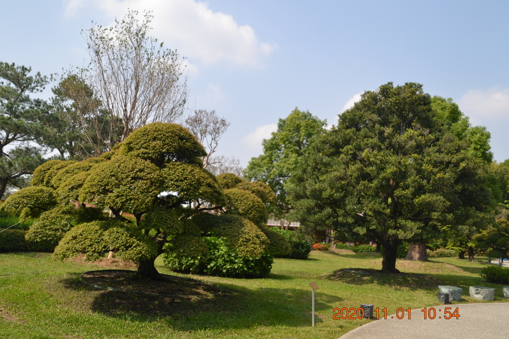 DSC_0176.JPG DSC_0176.JPG