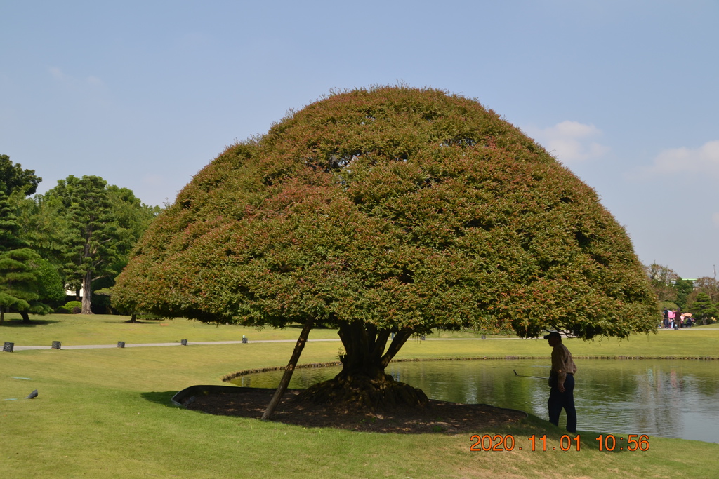 DSC_0181.JPG DSC_0181.JPG