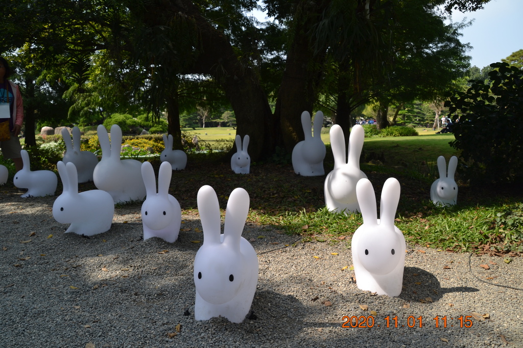 DSC_0188.JPG DSC_0188.JPG