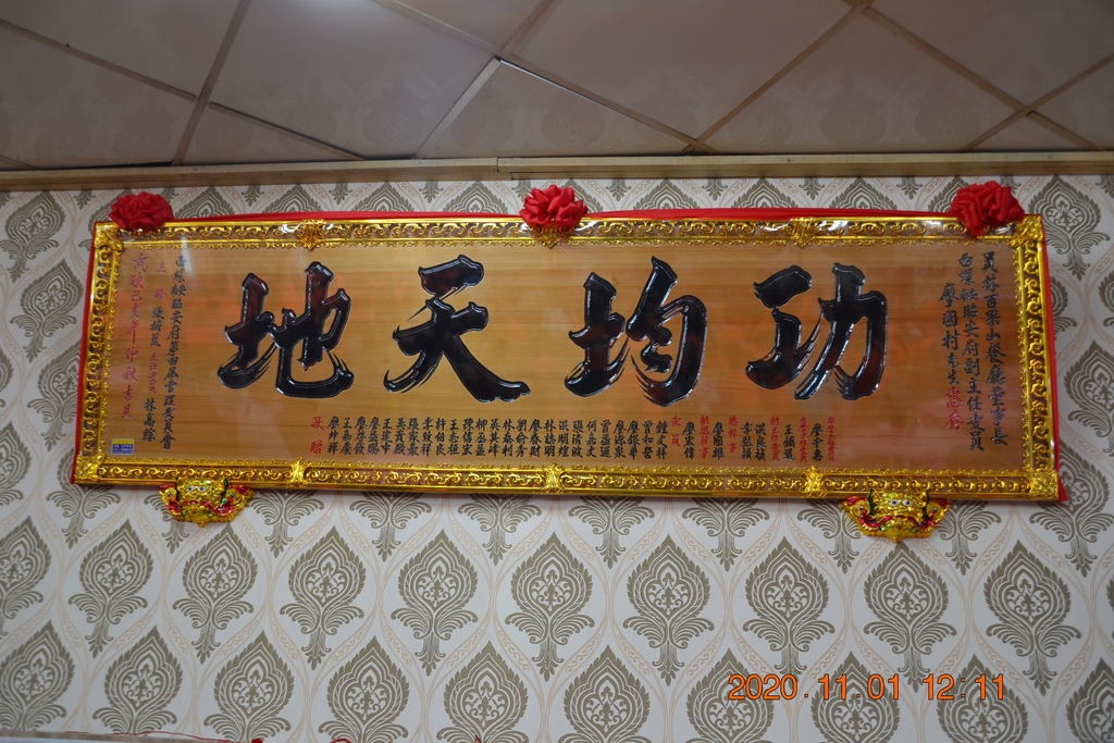 DSC_0203.JPG DSC_0203.JPG