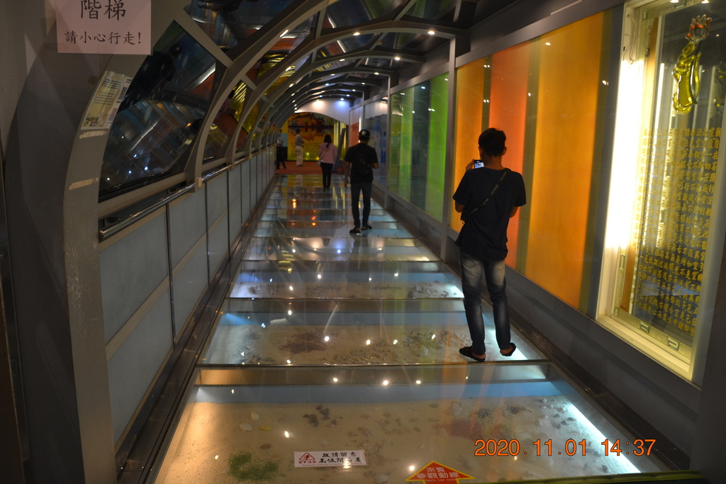 DSC_0287.JPG DSC_0287.JPG