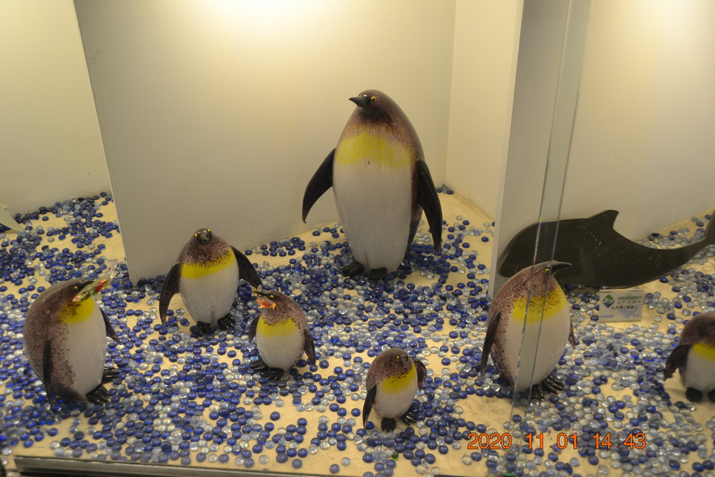 DSC_0297.JPG DSC_0297.JPG