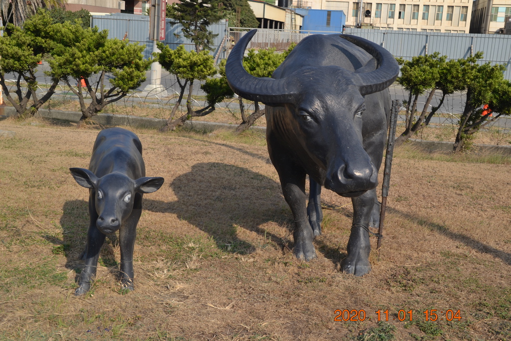DSC_0328.JPG DSC_0328.JPG