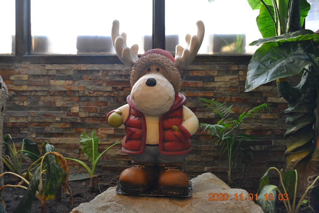 DSC_0357.JPG DSC_0357.JPG