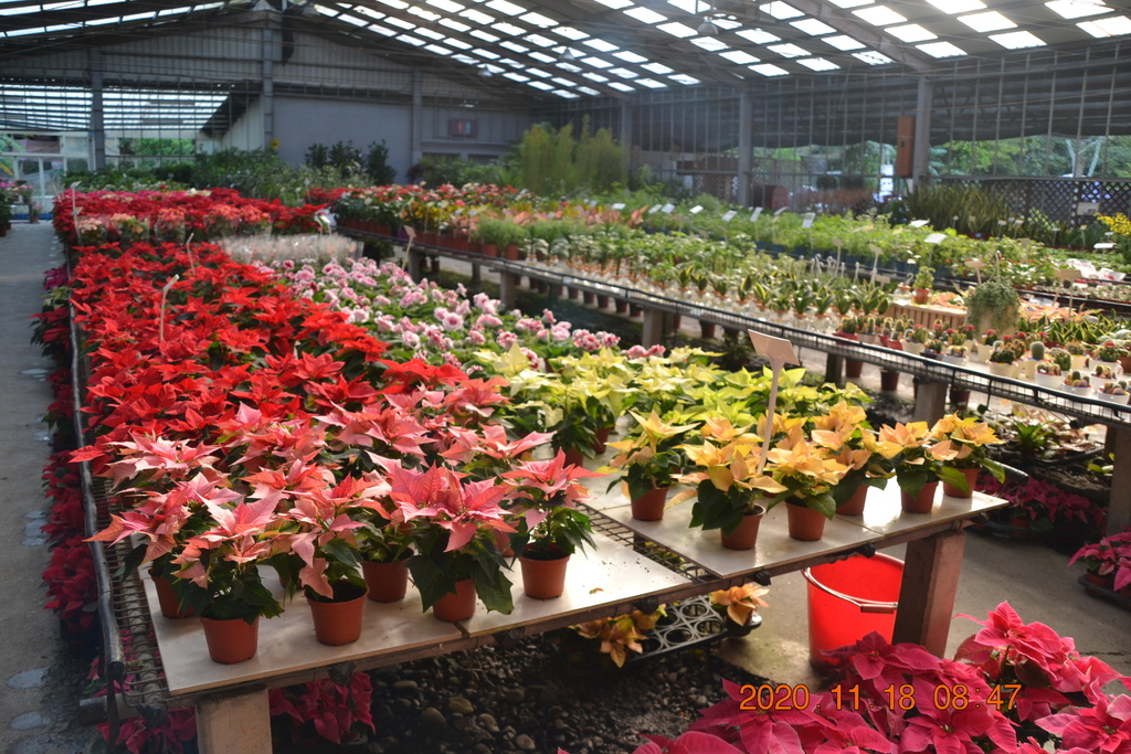DSC_0008.JPG DSC_0008.JPG
