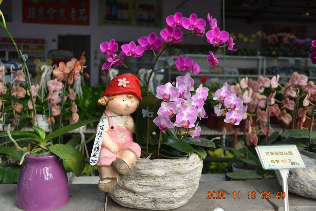 DSC_0013.JPG DSC_0013.JPG