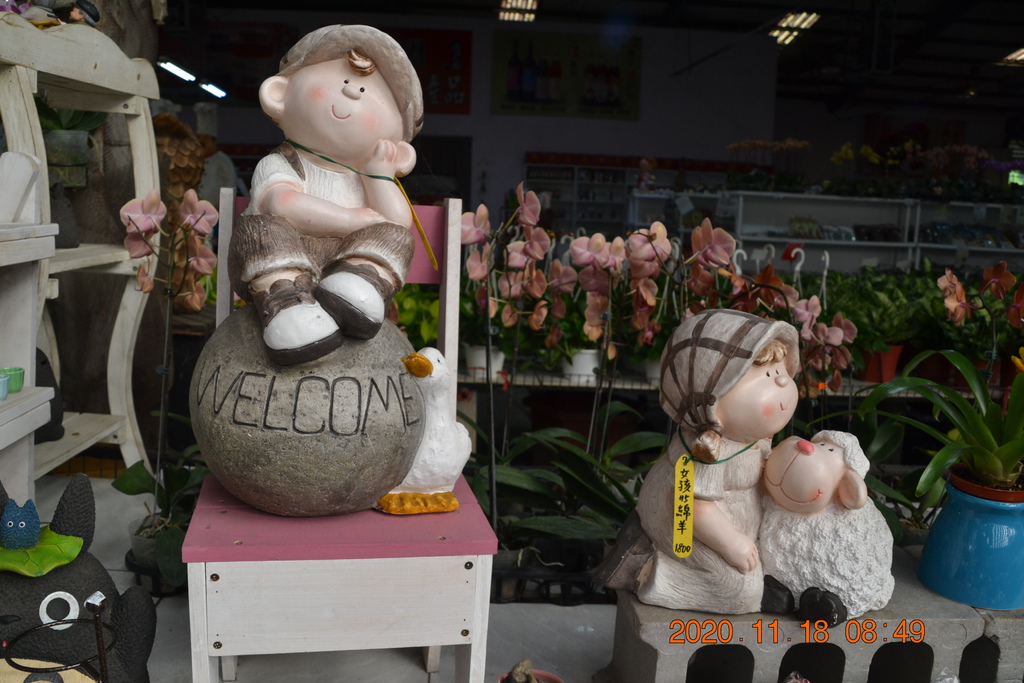 DSC_0012.JPG DSC_0012.JPG
