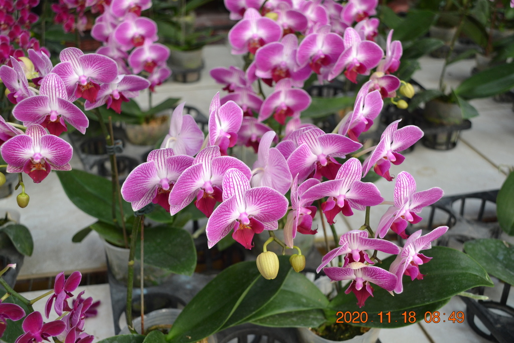 DSC_0014.JPG DSC_0014.JPG