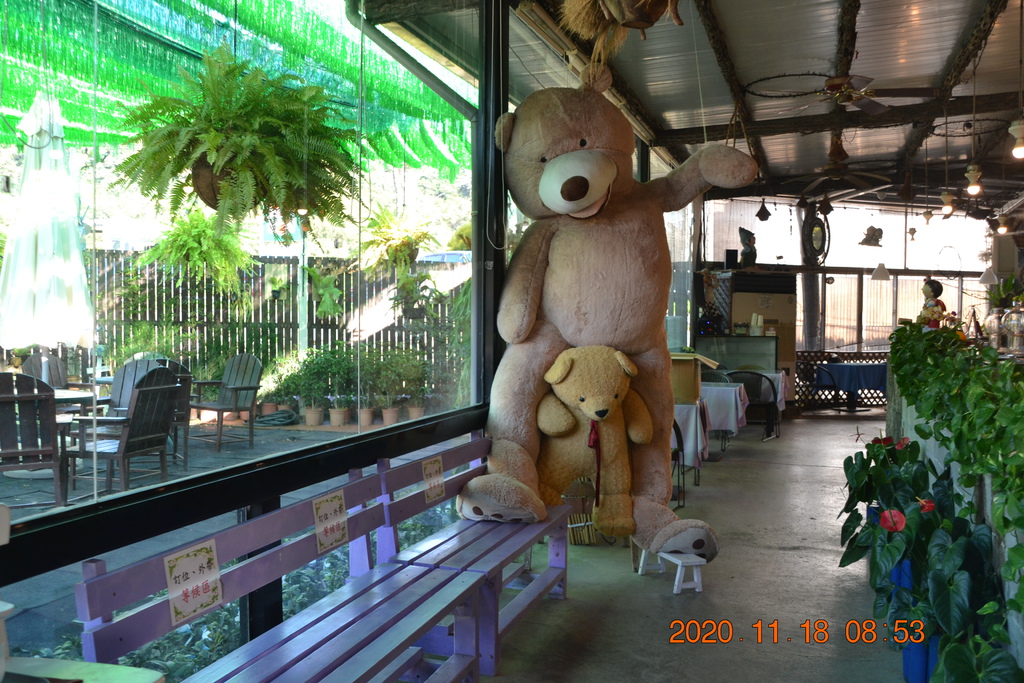 DSC_0022.JPG DSC_0022.JPG