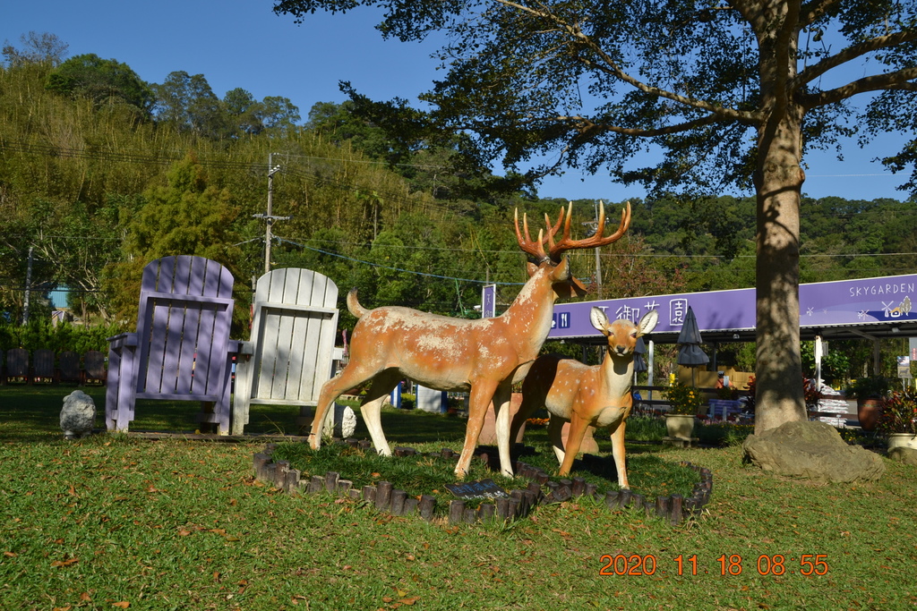 DSC_0027.JPG DSC_0027.JPG