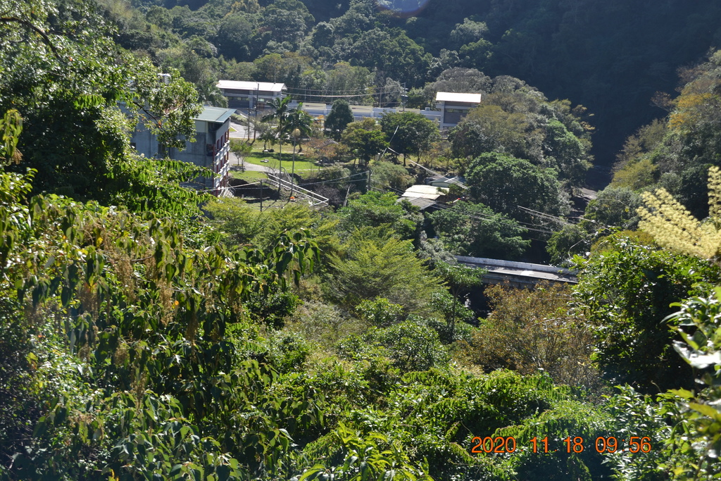 DSC_0069.JPG DSC_0069.JPG