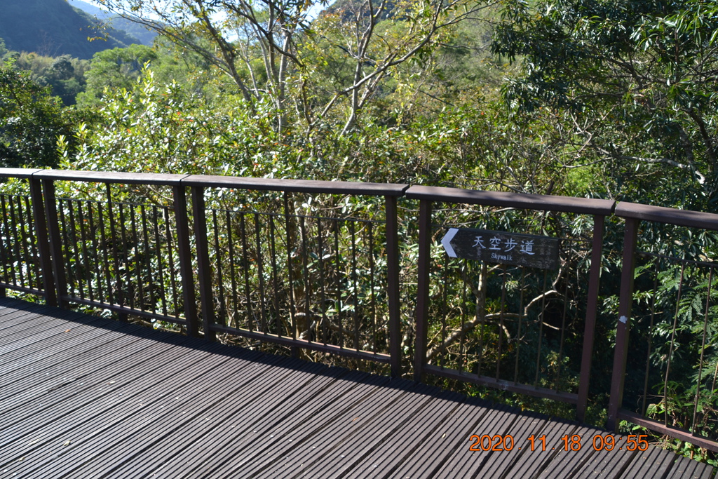 DSC_0065.JPG DSC_0065.JPG