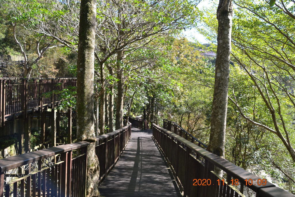 DSC_0084.JPG DSC_0084.JPG