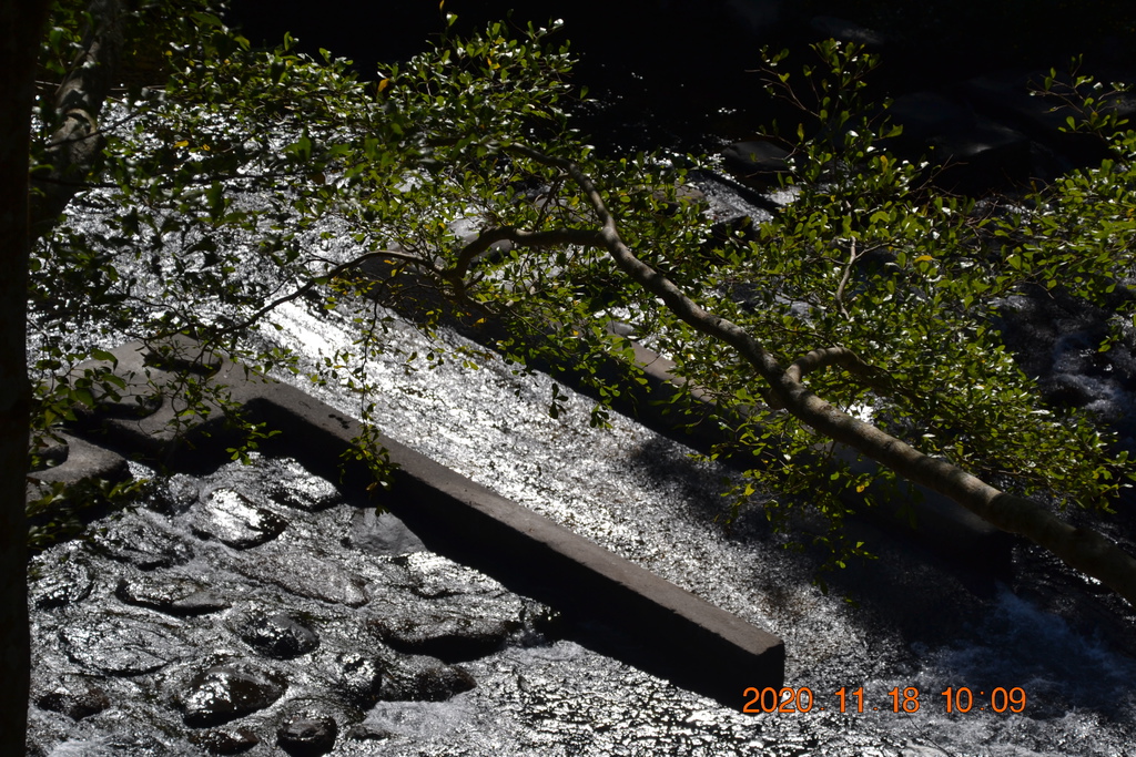 DSC_0085.JPG DSC_0085.JPG