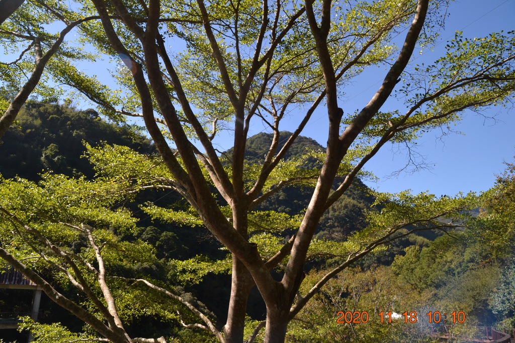 DSC_0089.JPG DSC_0089.JPG