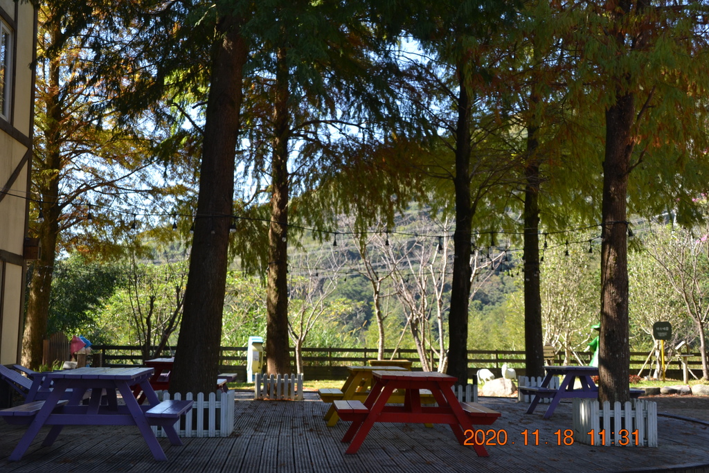 DSC_0123.JPG DSC_0123.JPG