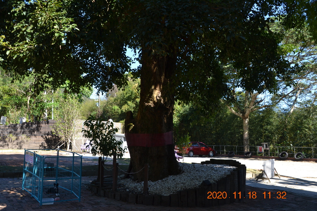 DSC_0129.JPG DSC_0129.JPG