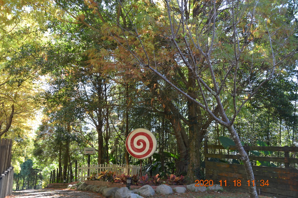 DSC_0135.JPG DSC_0135.JPG