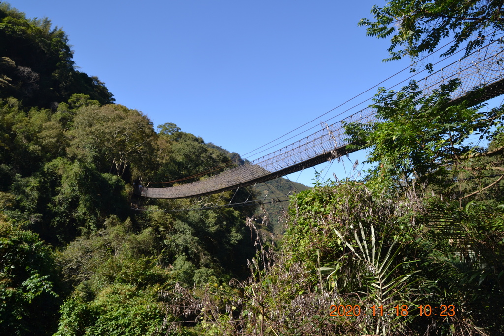 DSC_0099.JPG DSC_0099.JPG