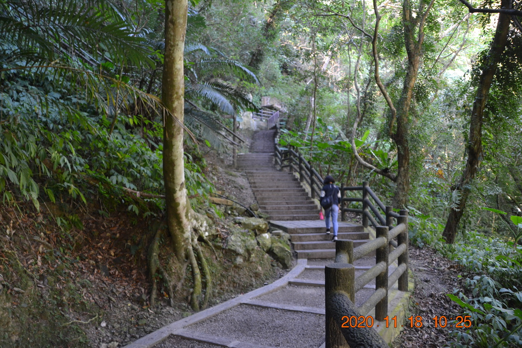 DSC_0102.JPG DSC_0102.JPG