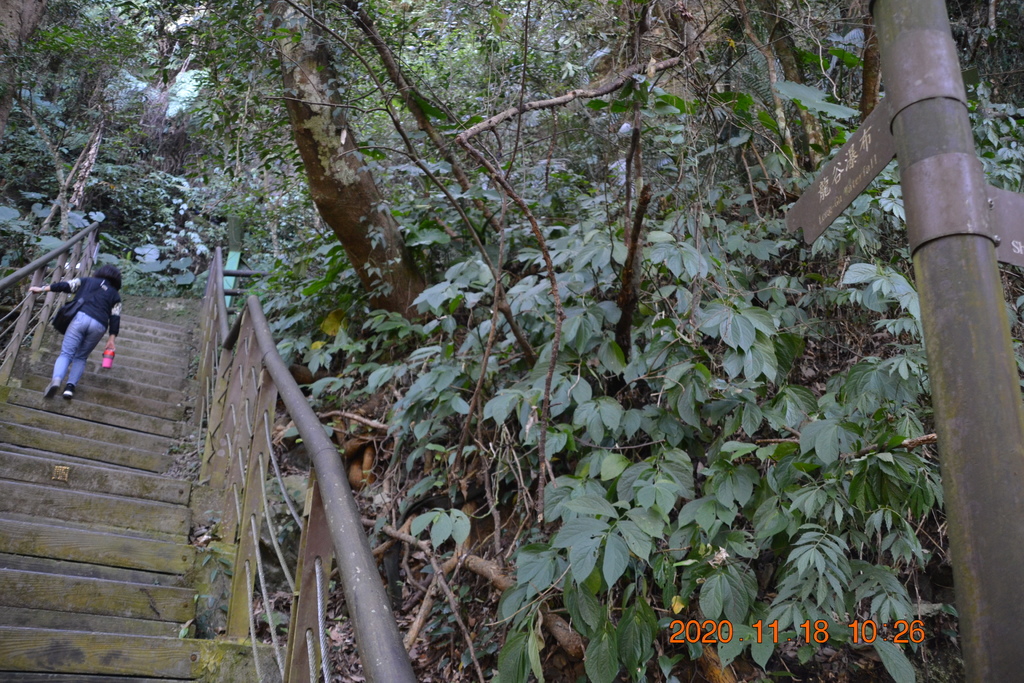 DSC_0104.JPG DSC_0104.JPG