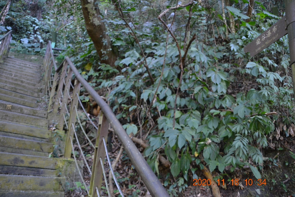 DSC_0117.JPG DSC_0117.JPG