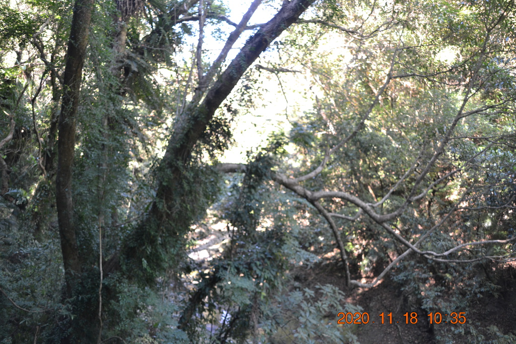 DSC_0118.JPG DSC_0118.JPG