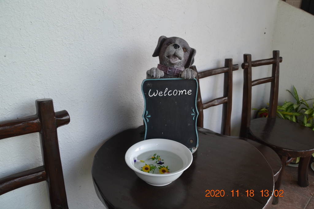 DSC_0153.JPG DSC_0153.JPG