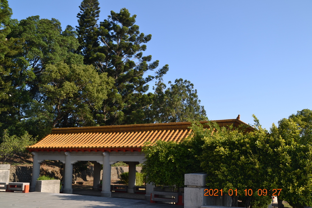DSC_0007.JPG DSC_0007.JPG