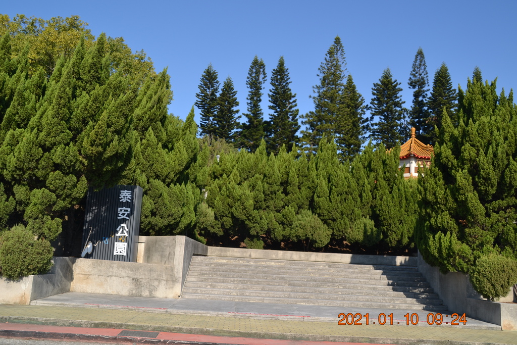DSC_0001.JPG DSC_0001.JPG