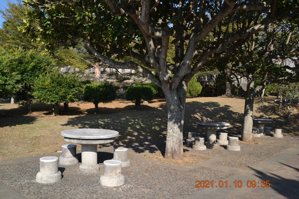 DSC_0025.JPG DSC_0025.JPG