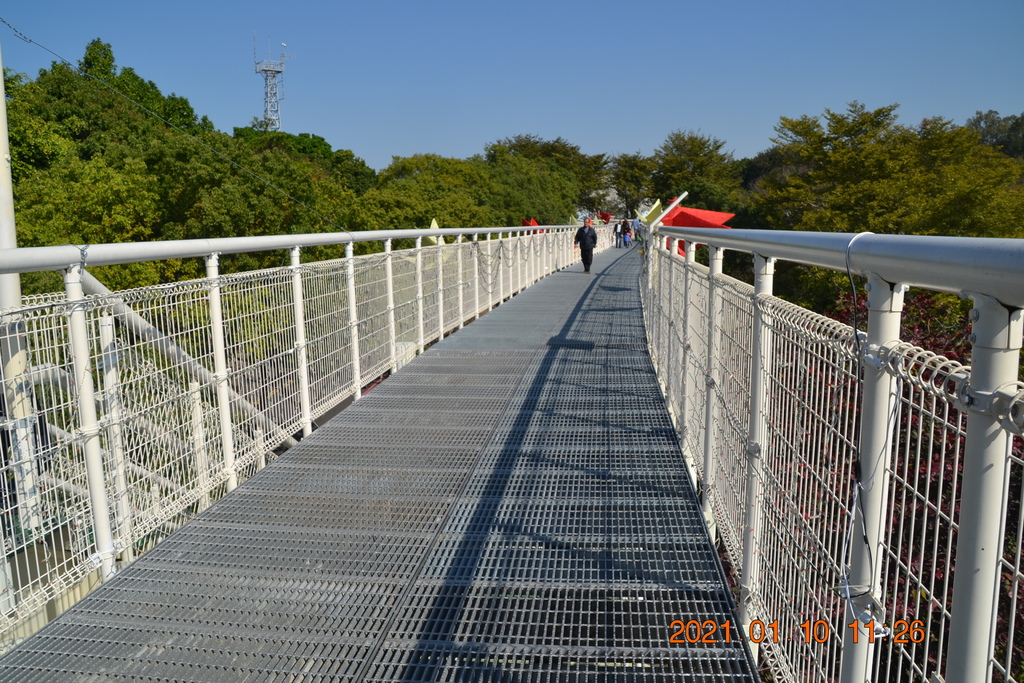 DSC_0106.JPG DSC_0106.JPG