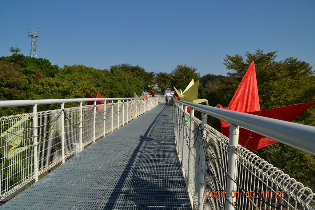 DSC_0109.JPG DSC_0109.JPG