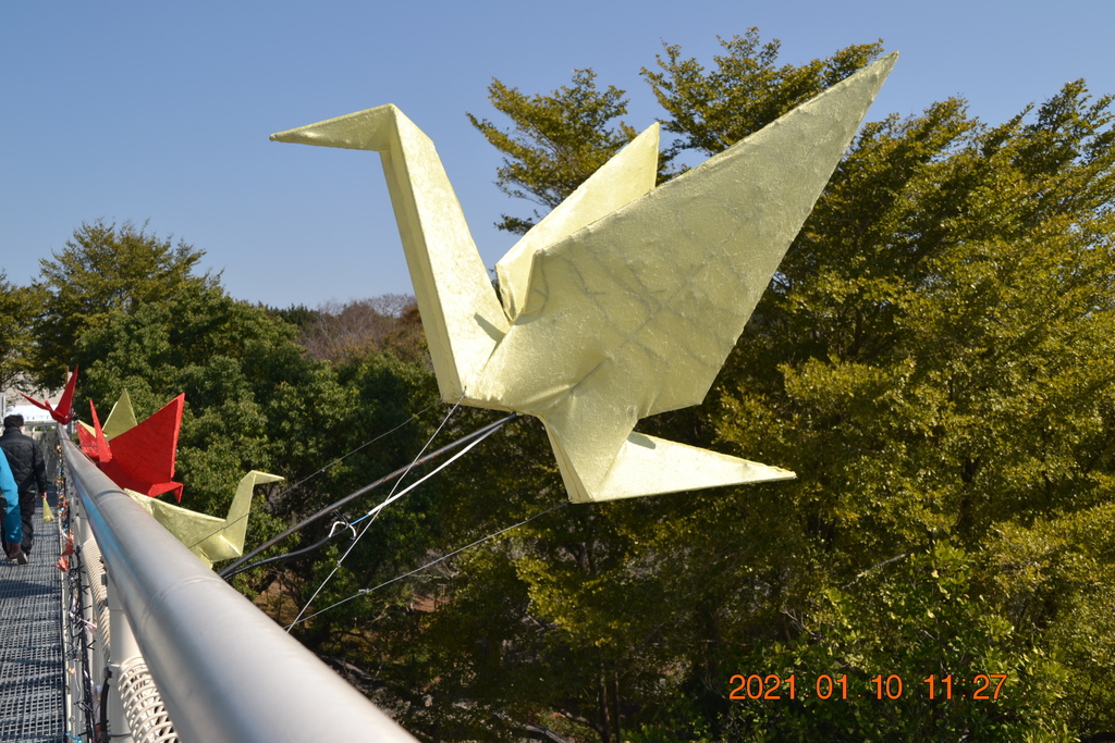 DSC_0111.JPG DSC_0111.JPG