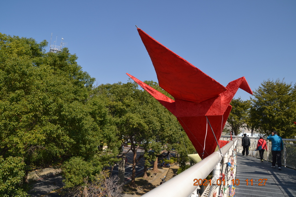 DSC_0112.JPG DSC_0112.JPG
