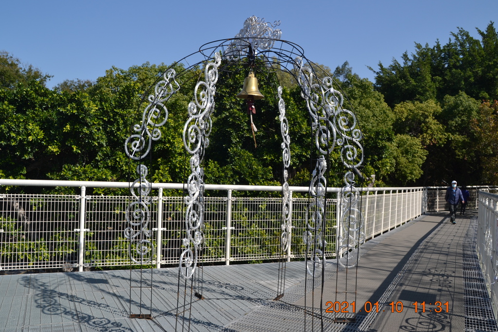DSC_0123.JPG DSC_0123.JPG