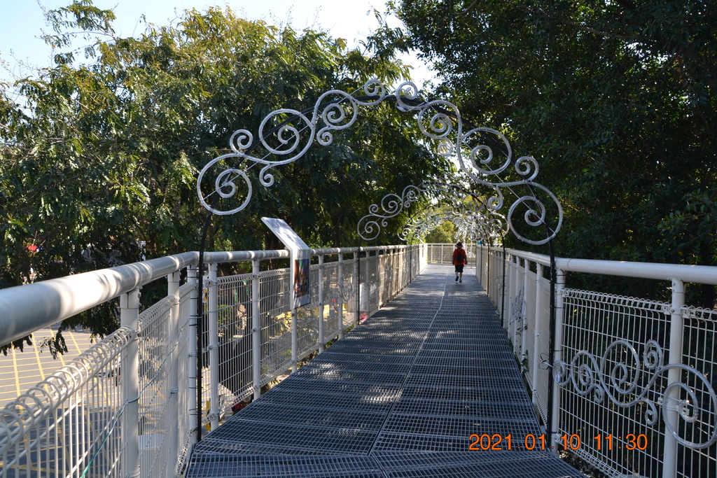 DSC_0121.JPG DSC_0121.JPG