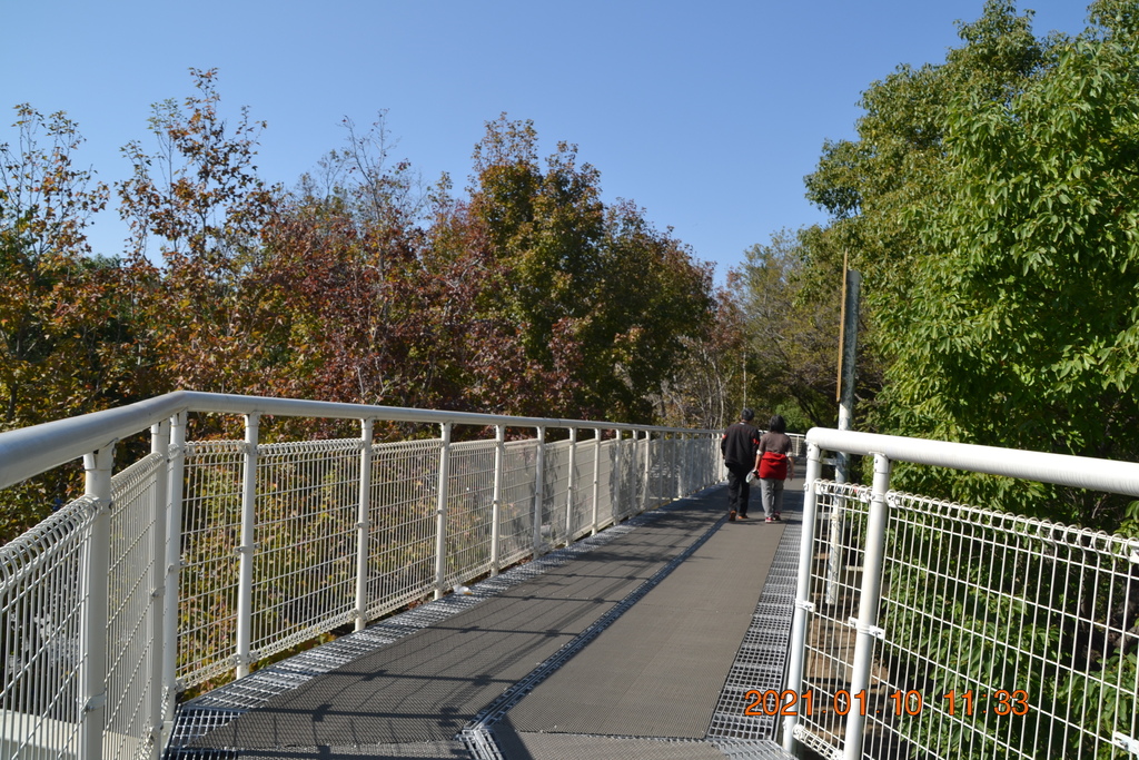 DSC_0127.JPG DSC_0127.JPG