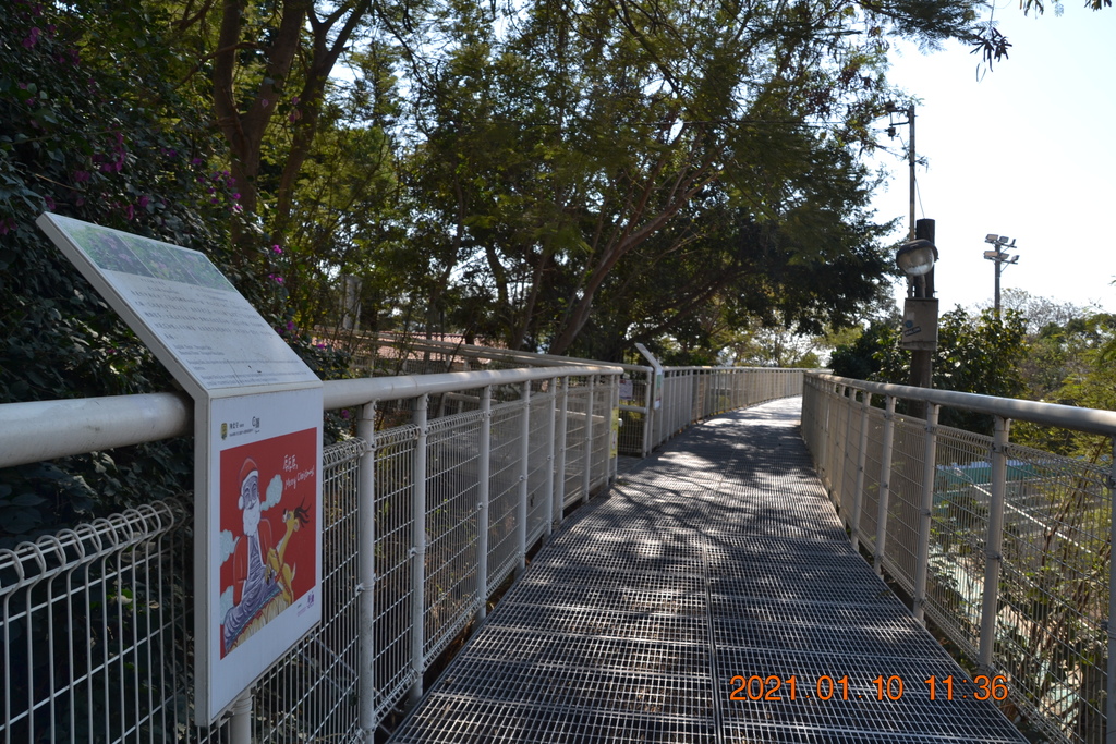 DSC_0132.JPG DSC_0132.JPG