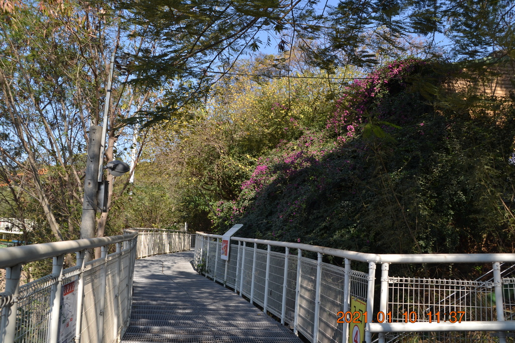 DSC_0134.JPG DSC_0134.JPG