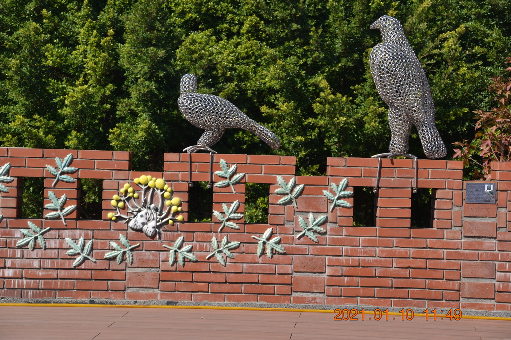 DSC_0148.JPG DSC_0148.JPG