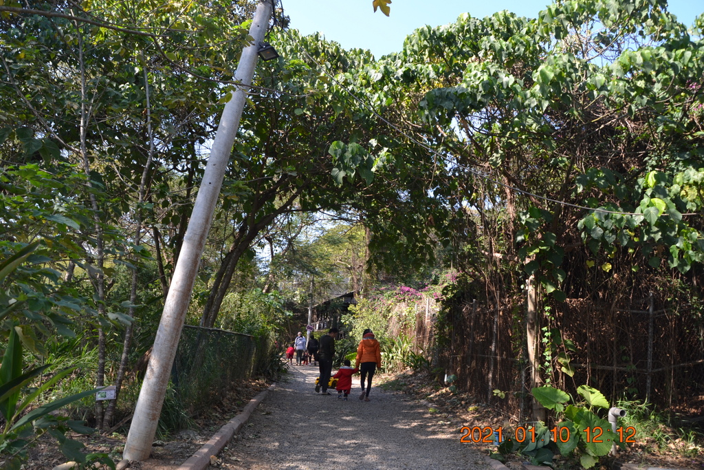 DSC_0196.JPG DSC_0196.JPG