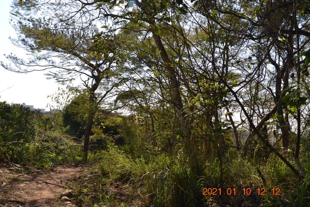 DSC_0197.JPG DSC_0197.JPG
