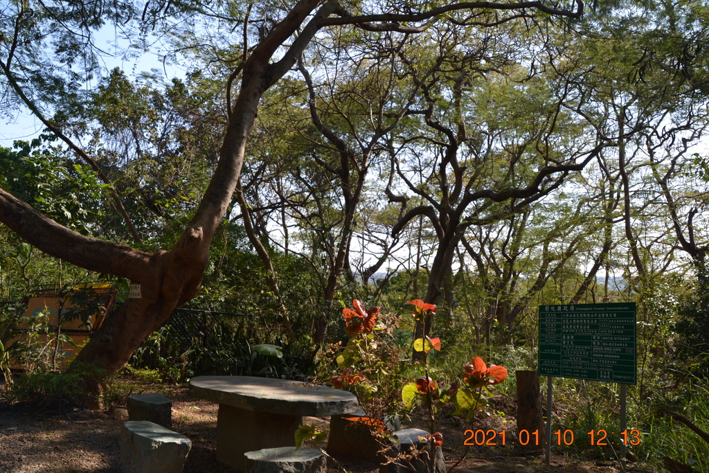 DSC_0200.JPG DSC_0200.JPG
