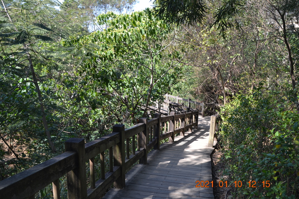 DSC_0202.JPG DSC_0202.JPG