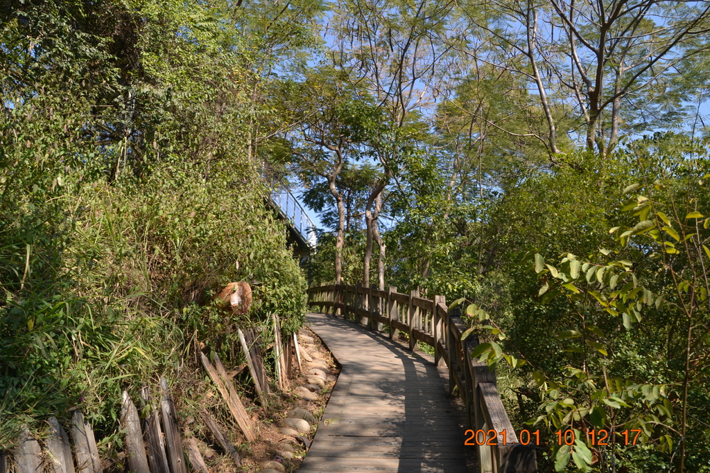 DSC_0204.JPG DSC_0204.JPG