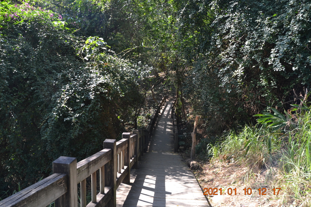 DSC_0205.JPG DSC_0205.JPG