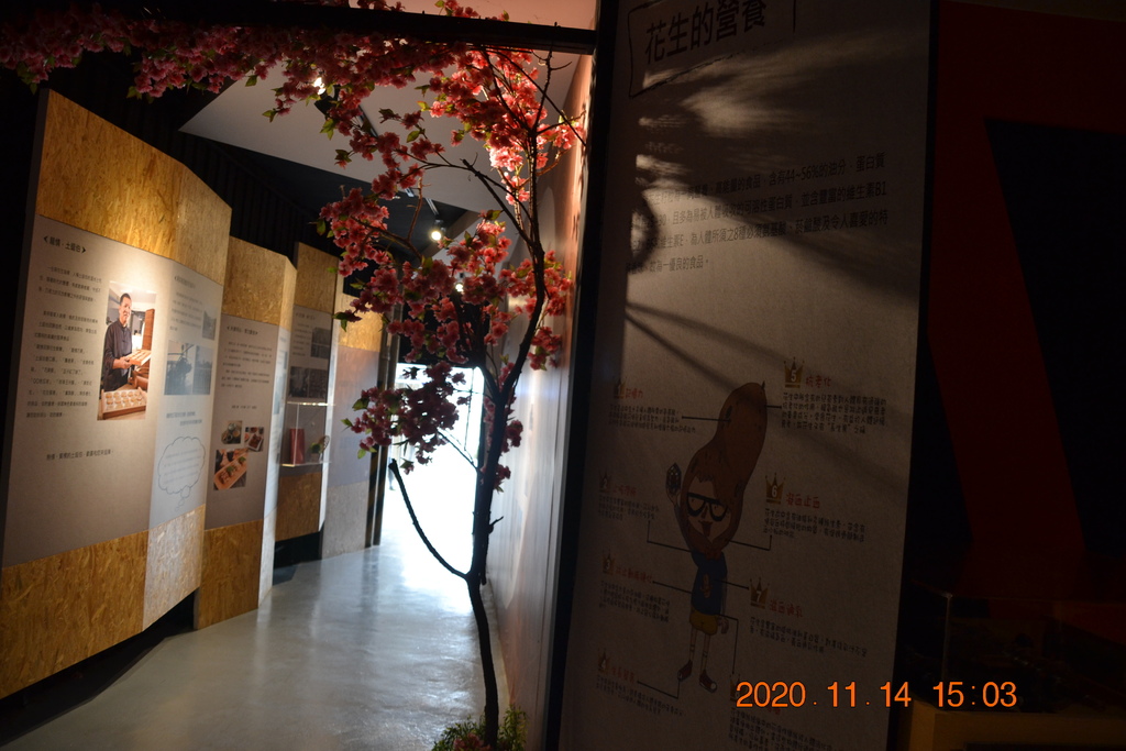 DSC_0247.JPG DSC_0247.JPG