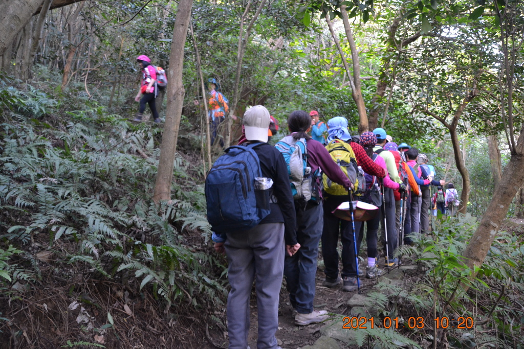 DSC_0087.JPG DSC_0087.JPG
